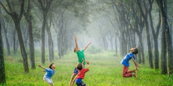 Rupert Knight tweet media