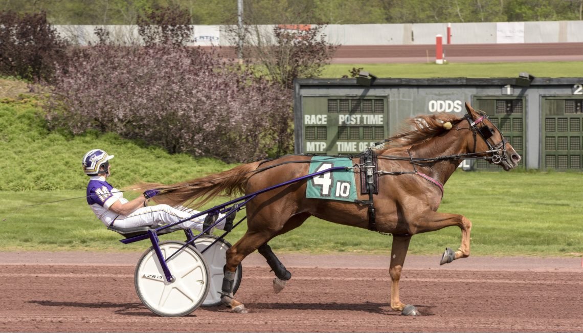 Elista Hanover #InternationalMoni won the Bobby Weiss Series Final ($50,000) at Pocono Downs 🇺🇲 in 1.53.1