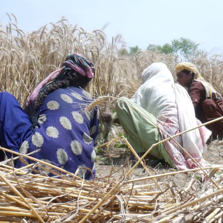 آج کا یومِ مزدور خواتین کے نام۔ آج بھی گھریلو خواتین صبح سے لیکر رات تک گھر کے کاموں میں مصروف رہتی ہیں اور ان کے اس کام کی نہ کوئی قدر کی جاتی ہے اور نہ ہی ان کو اس کام سے آرام کا موقع ملتا ہے۔ دیہات کی خاتون تو اکثر گھر سنبھالنے کے ساتھ ساتھ گھر جانور اور زراعت کے جیسے اہم…