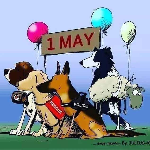 Buona festa a tutti i lavoratori! ❤️ #May1st #canidalavoro