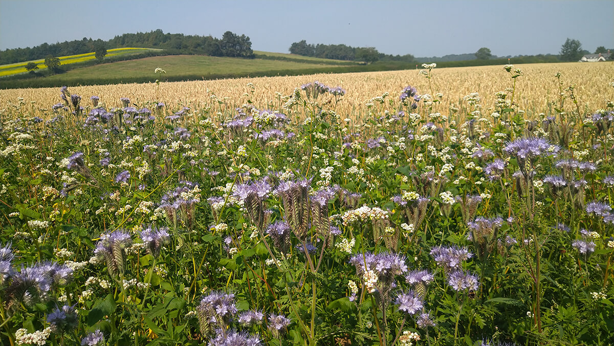 Join us for a free event 'Environmental Payments & Enablers: Making the most of Opportunities' on 3 June. Hear from @JanetHughes of @DefraGovUK , @ClaireR99 of @NFUtweets,Tom Curtiss of @3Keel_LTD & others on capitalising on environmental farm payments. eventbrite.co.uk/e/environmenta…