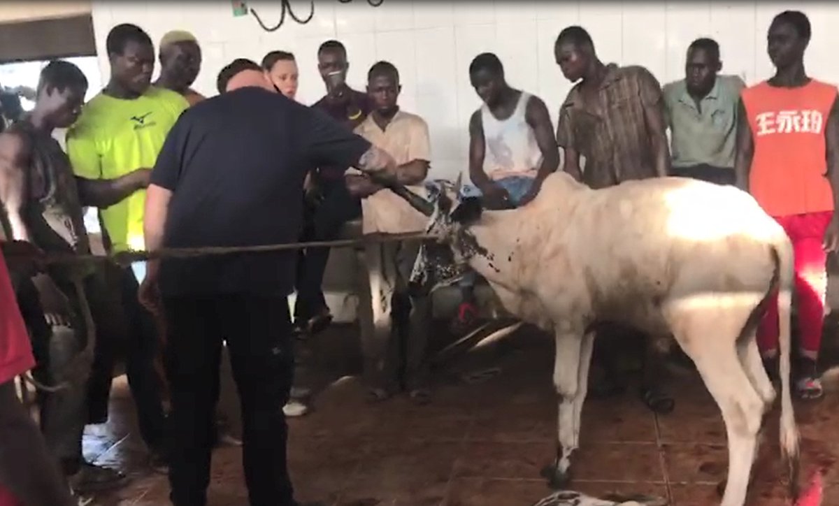 Team Huismuizen tweet media