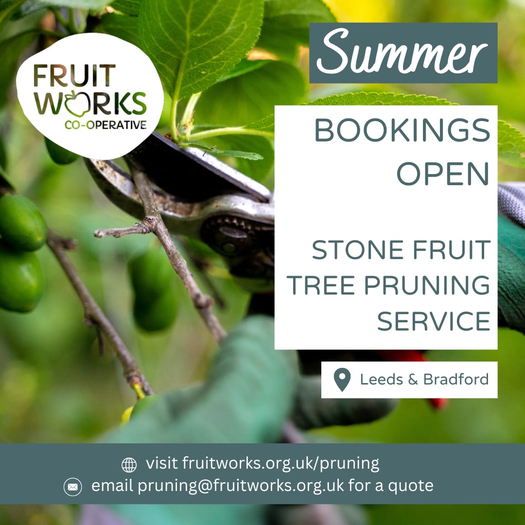Do you have a 🍒🍑 that needs a prune, but don't how to and don't have the time? We can help fruitworks.org.uk/pruning