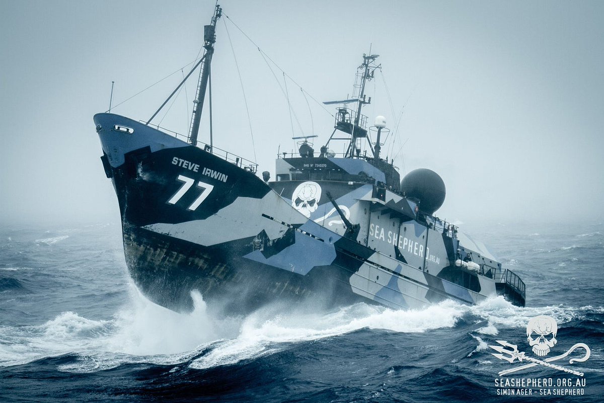 🏴‍☠️ Be a modern-day pirate for the oceans! Mint your @zkwilly NFT on 10th May and join @seashepherd in their battle against illegal fishing and poaching. 

#zkwilly @zksync #zkSync #seashepherd #marineconservation
