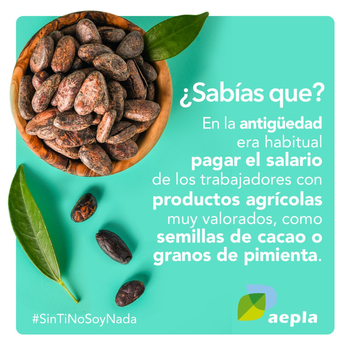 Los productos agrícolas siempre han sido considerados un bien básico de inmenso valor 🌱😍 Devolvamos a la #agricultura el protagonismo que merece. #DíadelTrabajador 💚 #1demayo