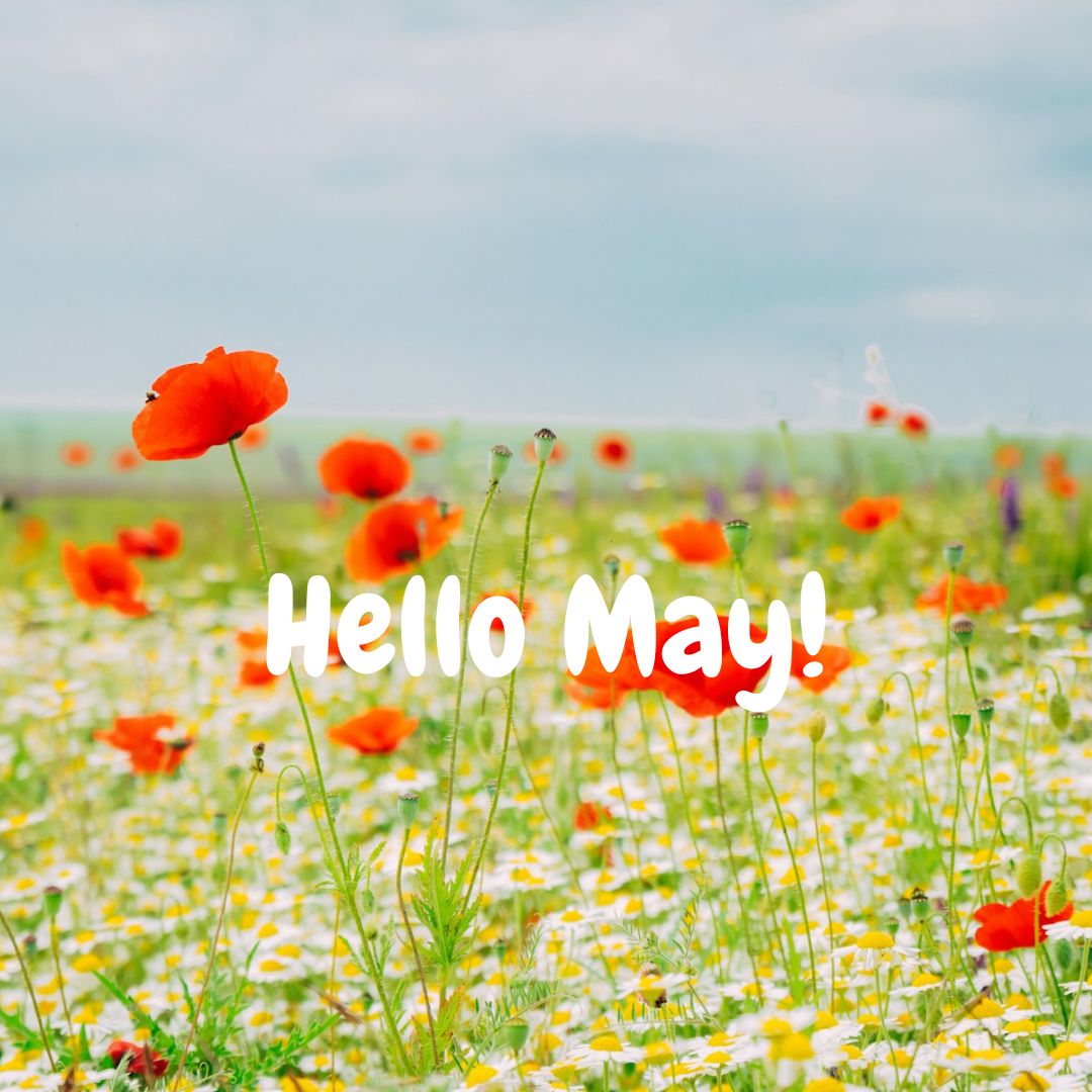 Hello #May! ☀️ May brings with it a feeling of renewal, like the world is taking a deep breath. It's a month filled with inspiration and the promise of summer fun just around the corner. What are you feeling inspired to do this month? #MayVibes #NewBeginnings #Inspiration