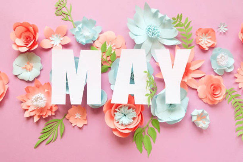 Hey May – where did you come from?
#may #hellomay #mayflowers #newmonthnewgoals #spring #summeriscoming
#closertosummer