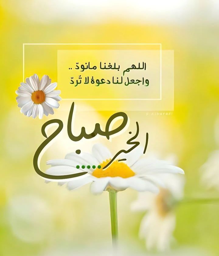 #صباح_الخير 💛 #صباحيات