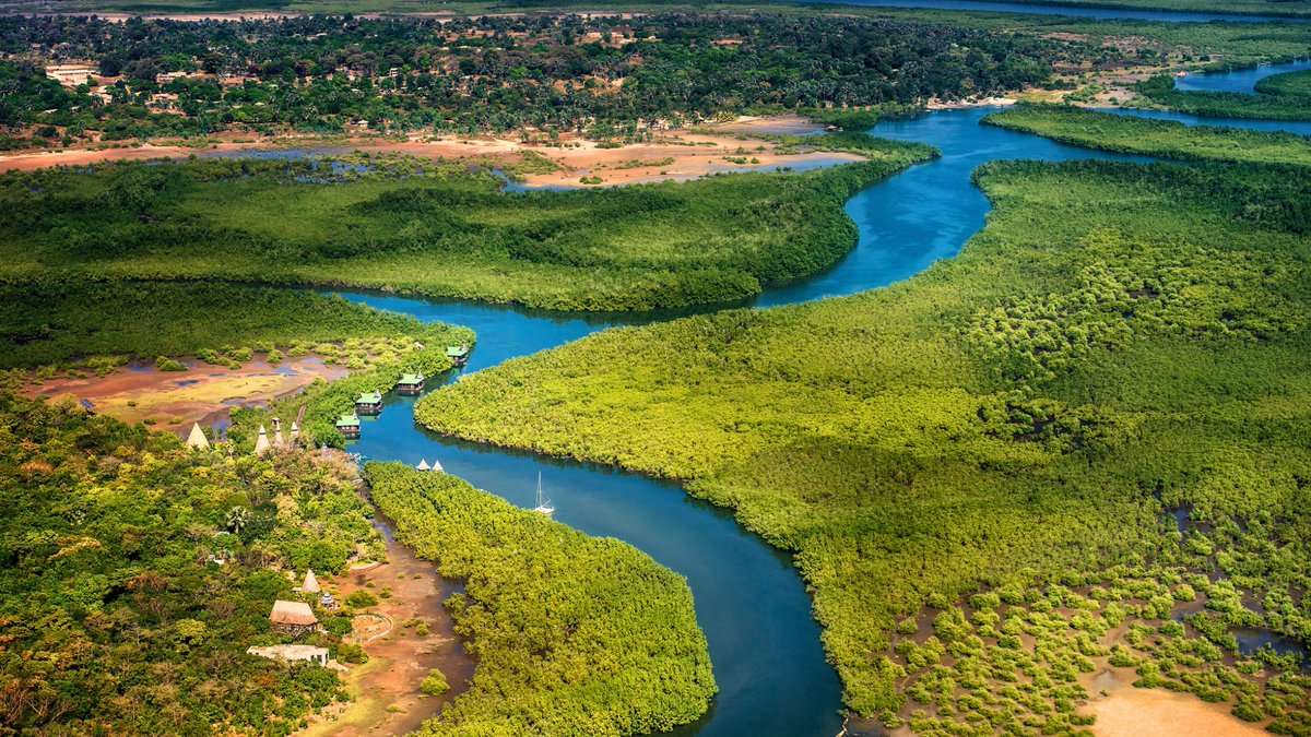 Protecting #Rivers & other #freshwater #ecosystems 🌊 is key to supporting #biodiversity 🐟🌿 Cooperation over #transboundary waters can contribute to these efforts 🫱🏾‍🫲🏿 Read our NEW @‌ciwaprogram blog for more 📝 👉🏾 wrld.bg/fKEB50RkLxn #BuildBackBiodiversity