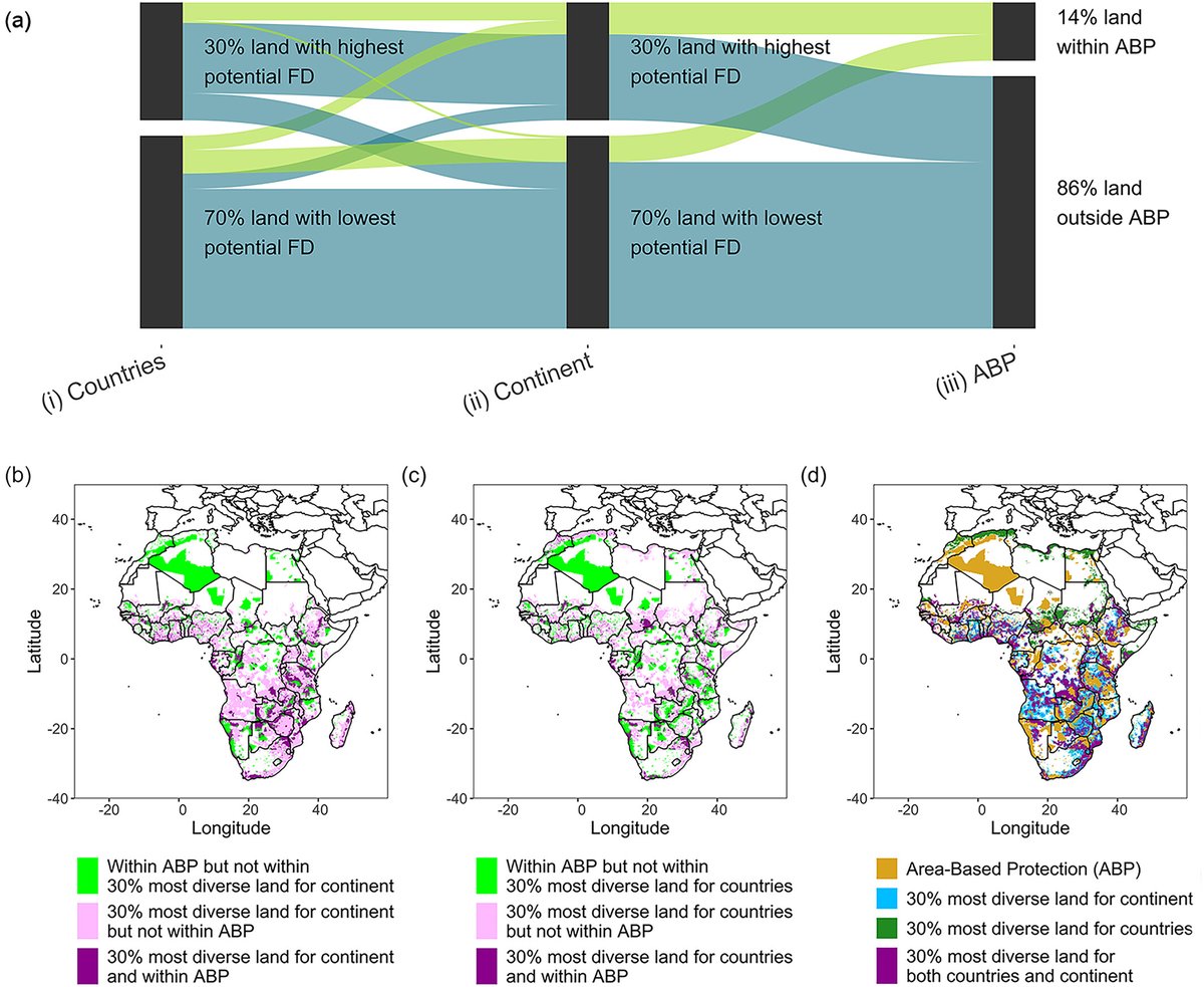 Plants People Planet 🌱👥🌐 (@plantspplplanet) on Twitter photo 30 by 30 for plant #diversity: How can we protect more of nature?
<a href="/miomboachenes/">Tim Harris</a>, Gianluigi Ottaviani, Mark Mulligan, and Neil Brummitt
📖 ow.ly/E7Ql50RmfoW
<a href="/wileyplantsci/">Wiley Plant Science</a> 30 by 30 for plant #diversity: How can we protect more of nature?
<a href="/miomboachenes/">Tim Harris</a>, Gianluigi Ottaviani, Mark Mulligan, and Neil Brummitt
📖 ow.ly/E7Ql50RmfoW
<a href="/wileyplantsci/">Wiley Plant Science</a>
