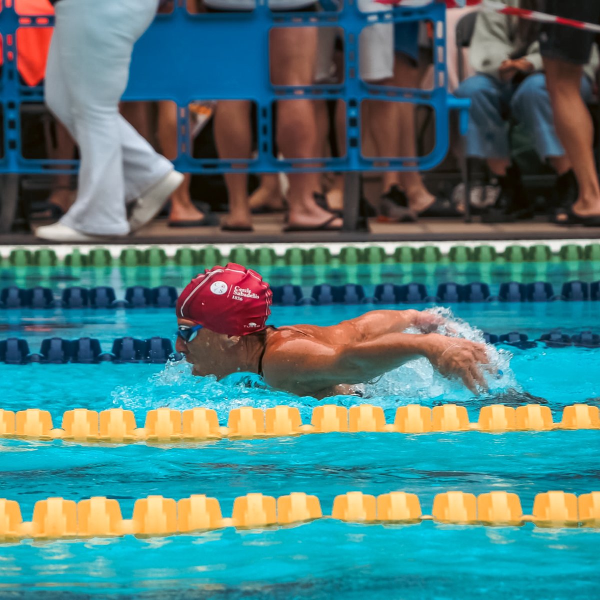 El Cercle es converteix en club federat de natació! 🏊‍♂️ Apunta't al grup d'entrenament i gaudeix dels avantatges per poder participar en les travesses de la Federació Catalana de Natació ! #somcercle