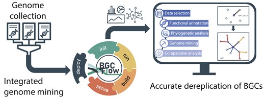 Wouldn't it be nice to do complex #NatualProducts #GenomeMining analyses on large datasets with hundreds or thousands of genomes? With #BGCFlow, we may have a solution for you: academic.oup.com/nar/advance-ar… [1/4]