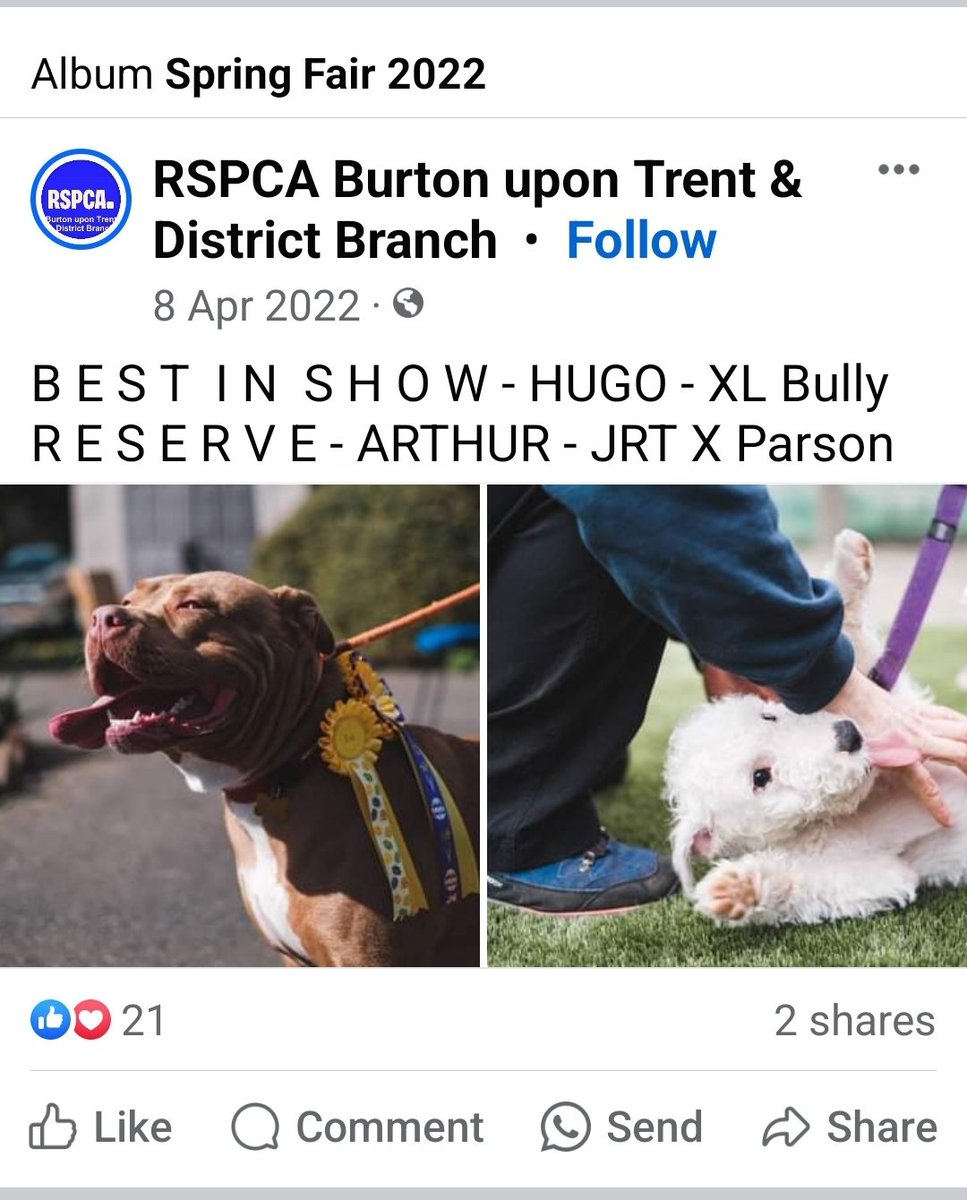 A mere 2 years ago.  

XL bully (an ACTUAL one) winning best in show. 
Suck on that Lozza you thundercnut. 
#endBSL
@pursuitofprog
@ProtectOurPets2
@BullyWatchUK
All of the above can suck our big, hairy, sweaty, ball bags.
Apart from Justeeeeen and Flipper, they like that shit!