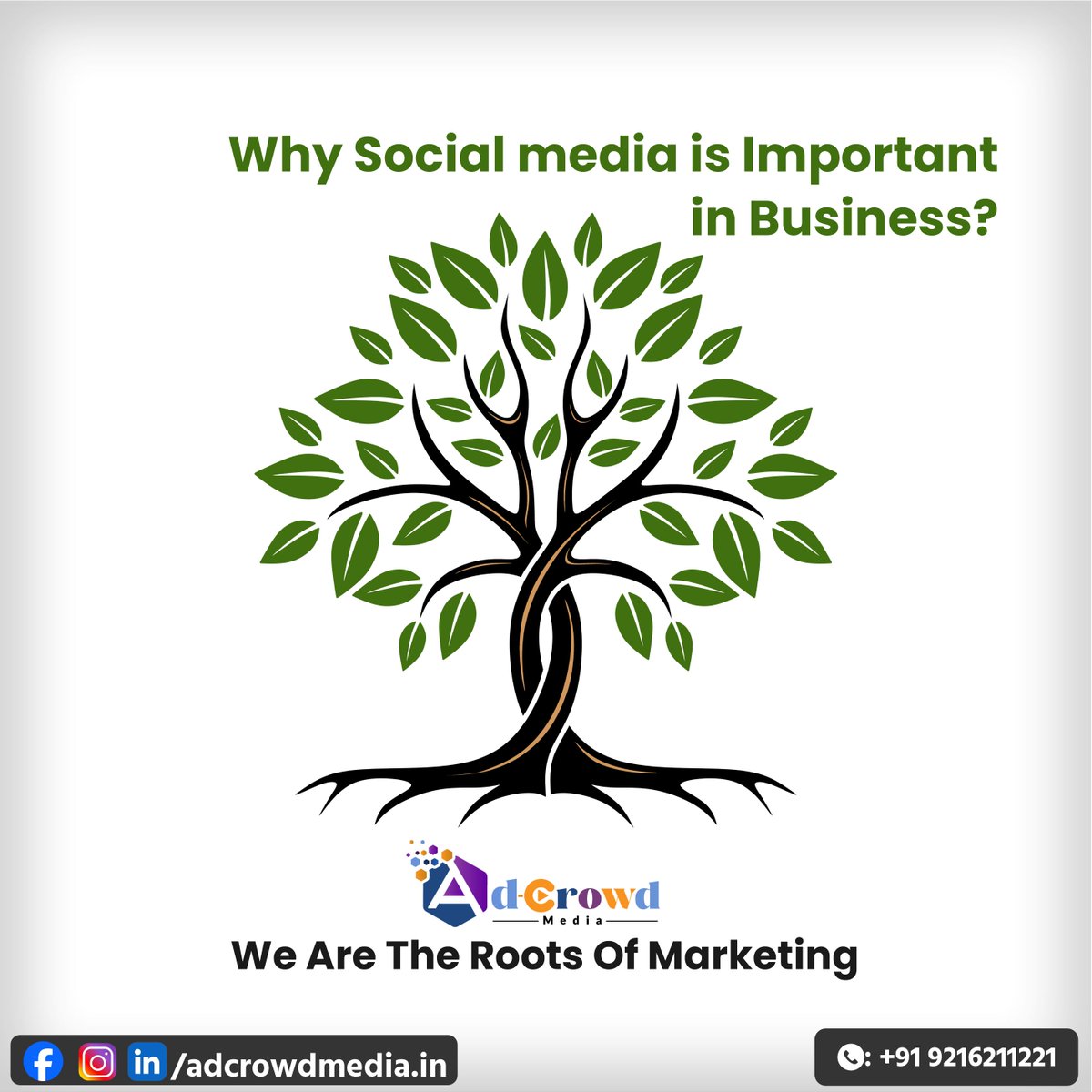 we are the roots of marketing. 

#SEOExperts #MarketingMindset #DataDriven #AdCampaigns #MarketingInnovation #DigitalAgency #MarketingSuccess #SEOTools #ContentCreators #DigitalPresence #MobileOptimization #MarketingPro