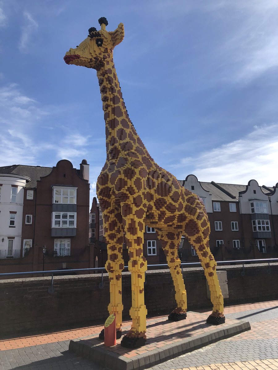 Yesterday mummy was working in Birmingham and she had a walk and did a #Hedgewatch down by the canal and she saw a giraffe!! In the middle of Birmingham!! She said it was made of Lego