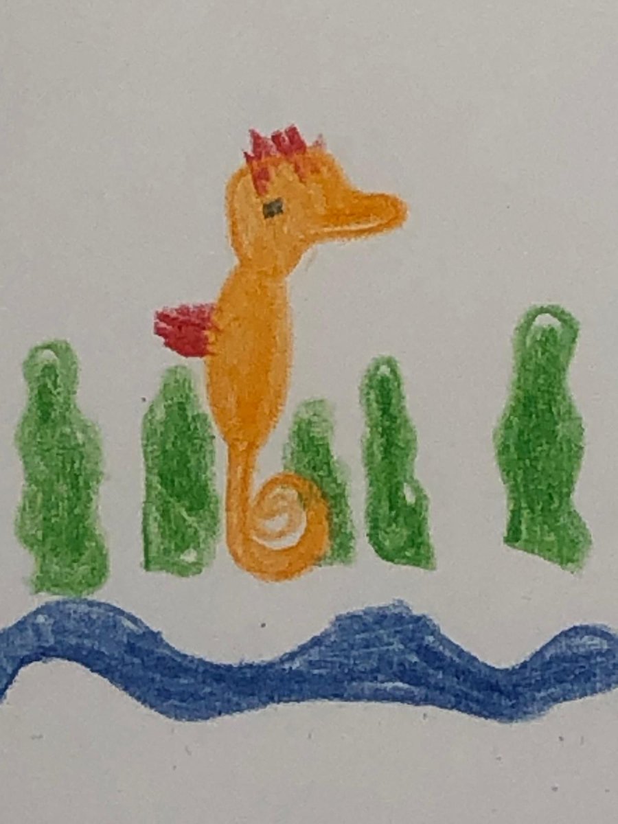A drawing of our Young audience at <a href="/CCVVILADOCONDE/">Centro Ciência Viva de Vila do Conde</a> 

#seahorse