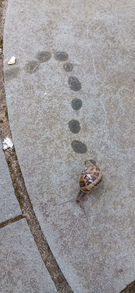 James Sharp tweet media