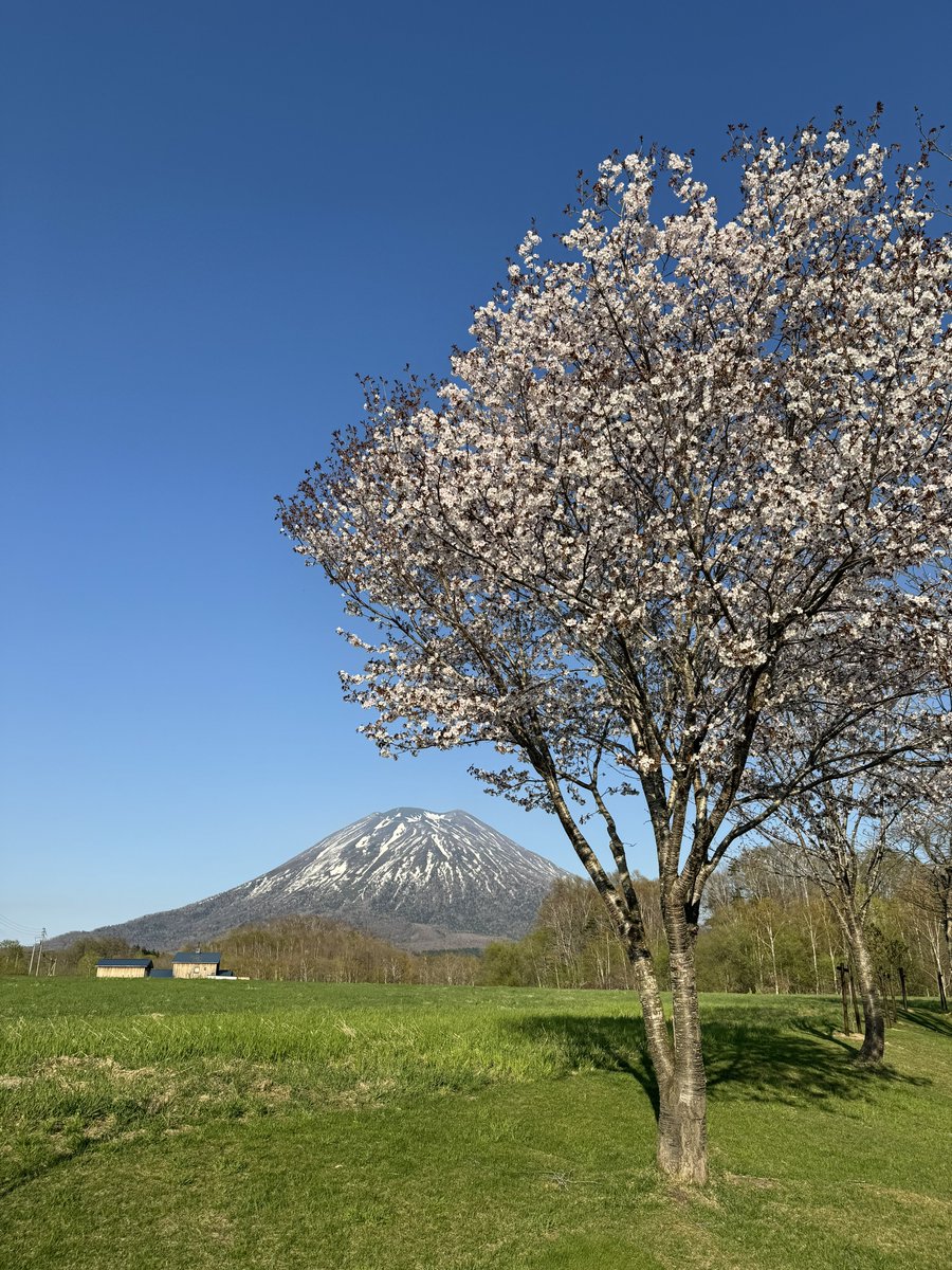 .*･ﾟ𓇢🗻🌸𓇢.ﾟ･*.