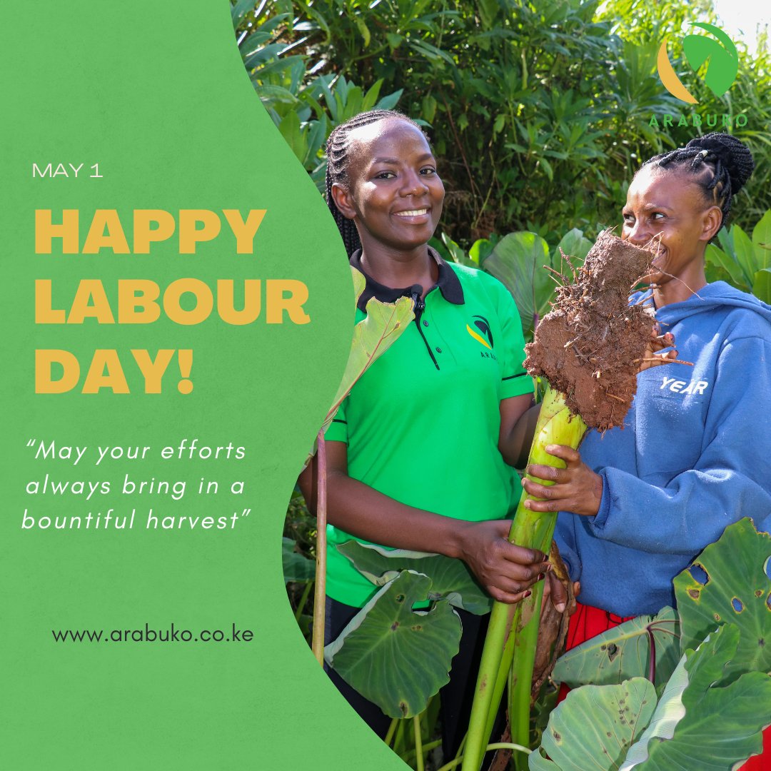 arabukoLtd's tweet photo. Wishing you all a Happy Labour Day filled with appreciation for your unwavering dedication. #HappyLabourDay #keepgrowing #weappreciateyou 💚✨ https://t.co/snPmPYqHRN