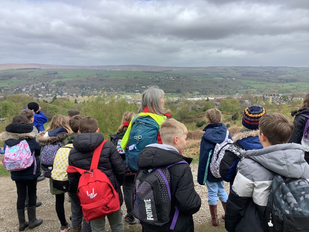 Low Ash Primary tweet media