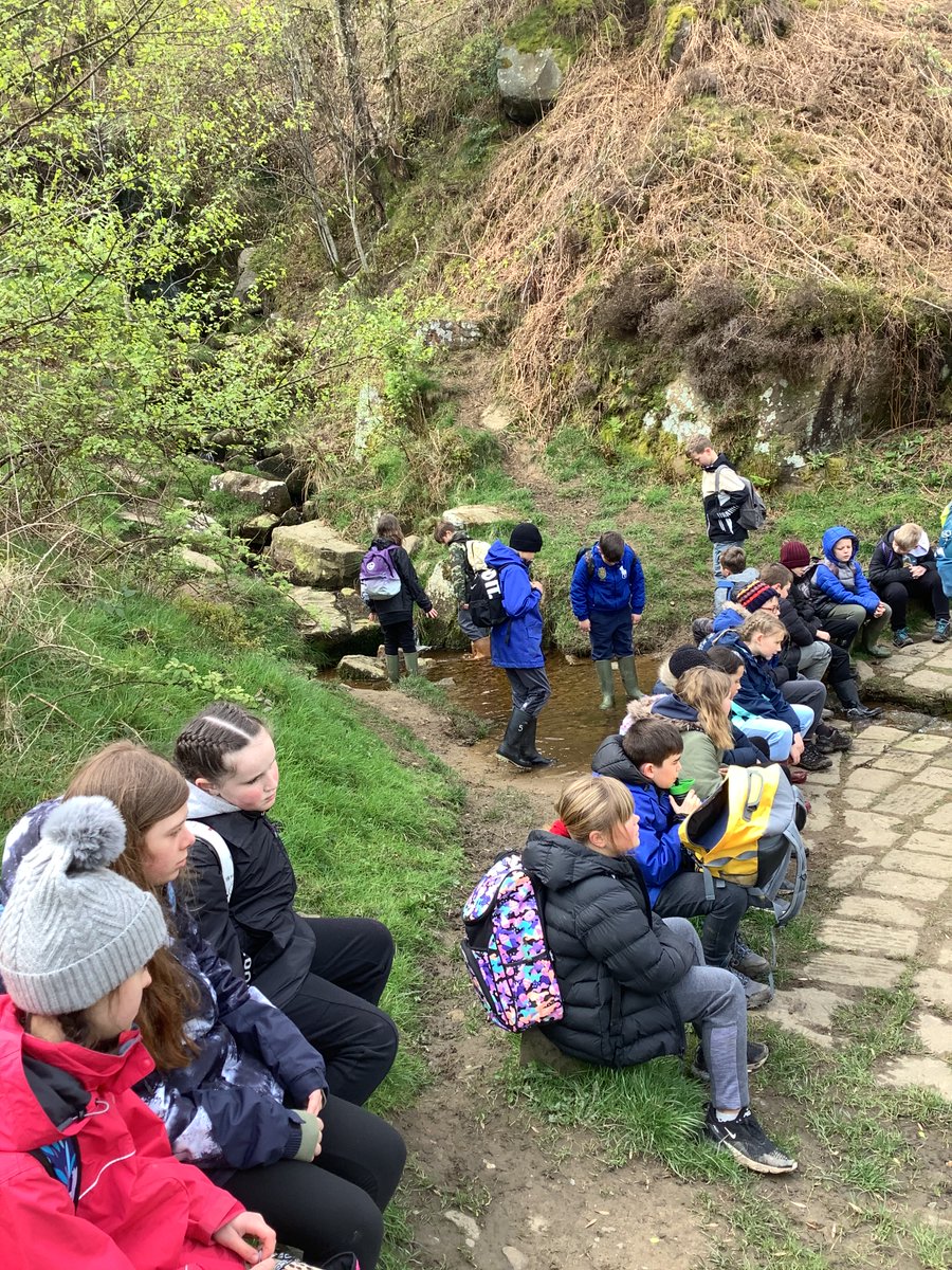 Low Ash Primary tweet media