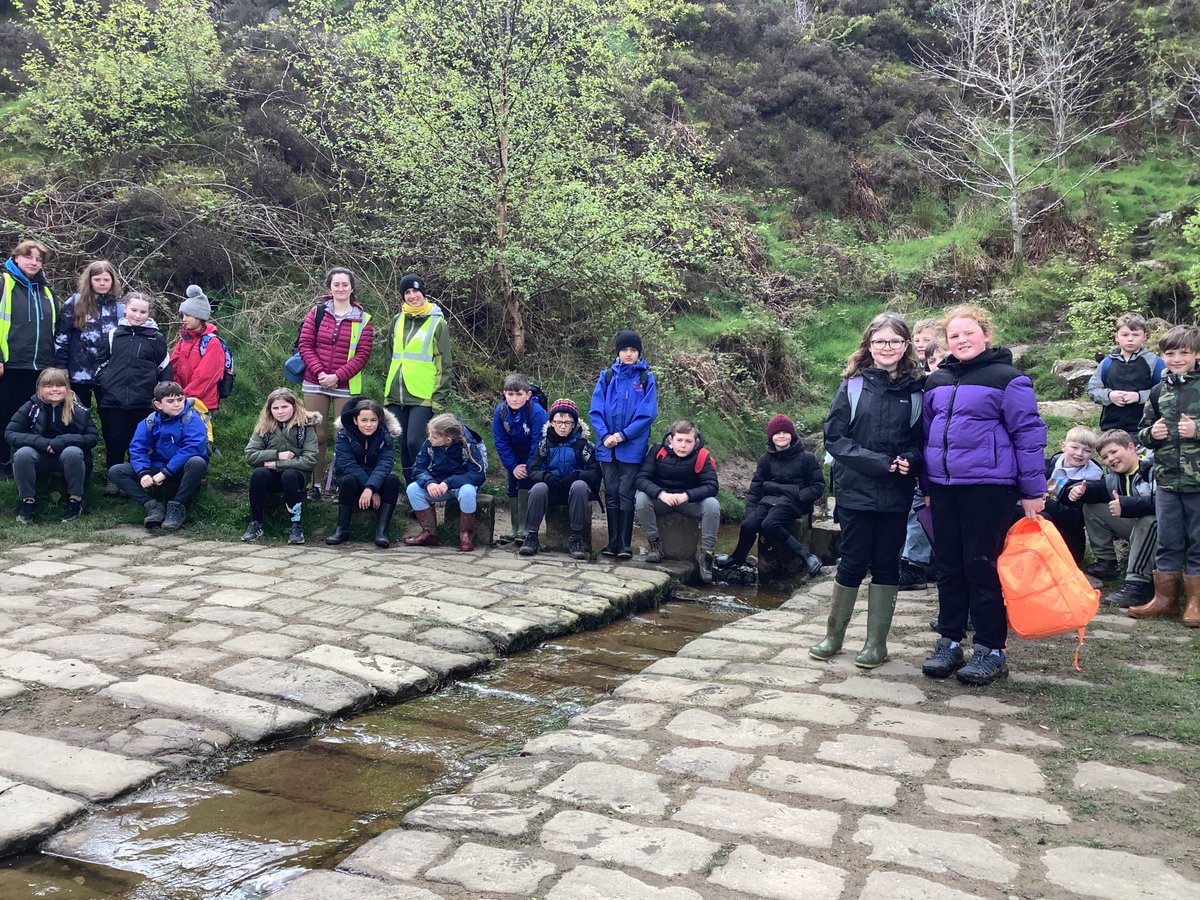 Low Ash Primary tweet media