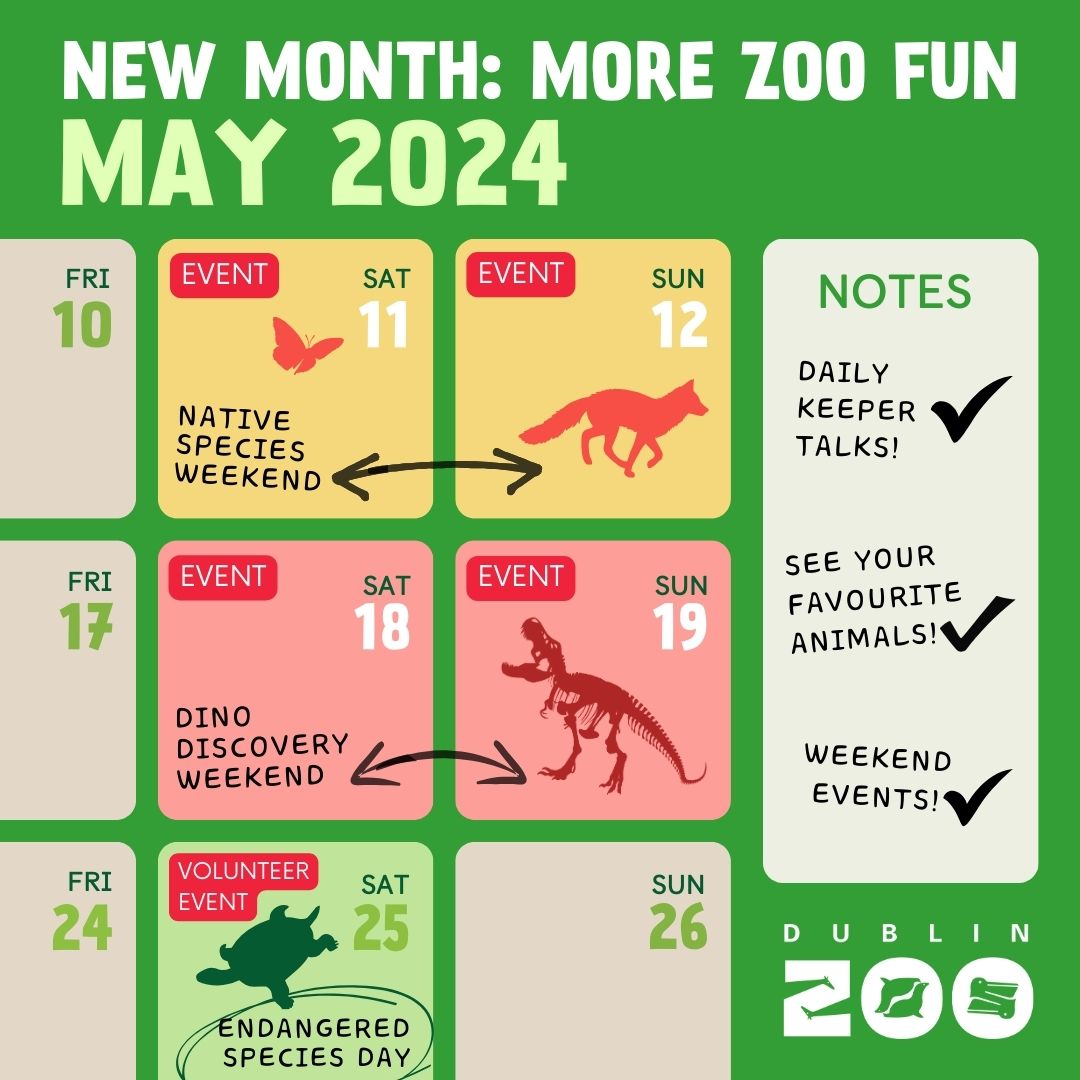 Summer is officially kicking off at Dublin Zoo this month. Our weekends are jam-packed with fun for all the family, so mark it in your calendars now ✔️