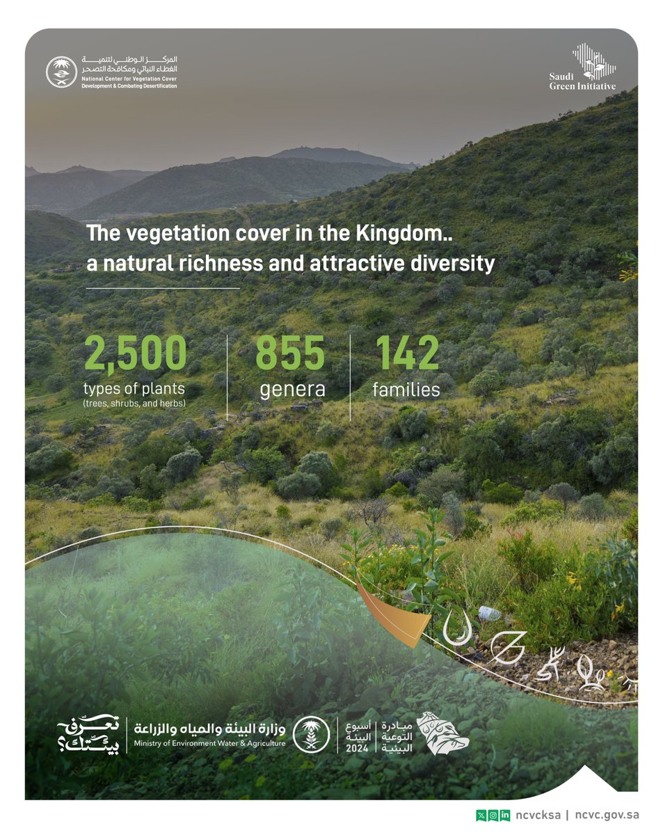 ncvcksa's tweet photo. #Know_YourEnvironment, The Kingdom is graced with lush, natural vegetation that spans vast expanses and diverse geographical settings. Discover it.
#Environment_Week https://t.co/LdtsmV6t0D