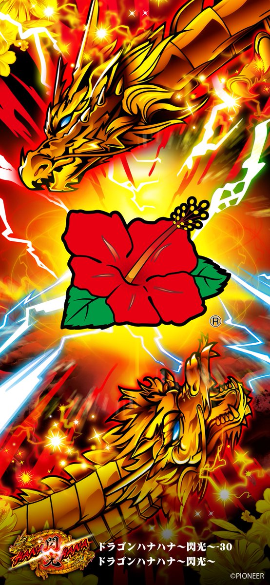 5月突入‼ 初日あいにくの雨模様を晴らすような、ドラゴンハナハナ