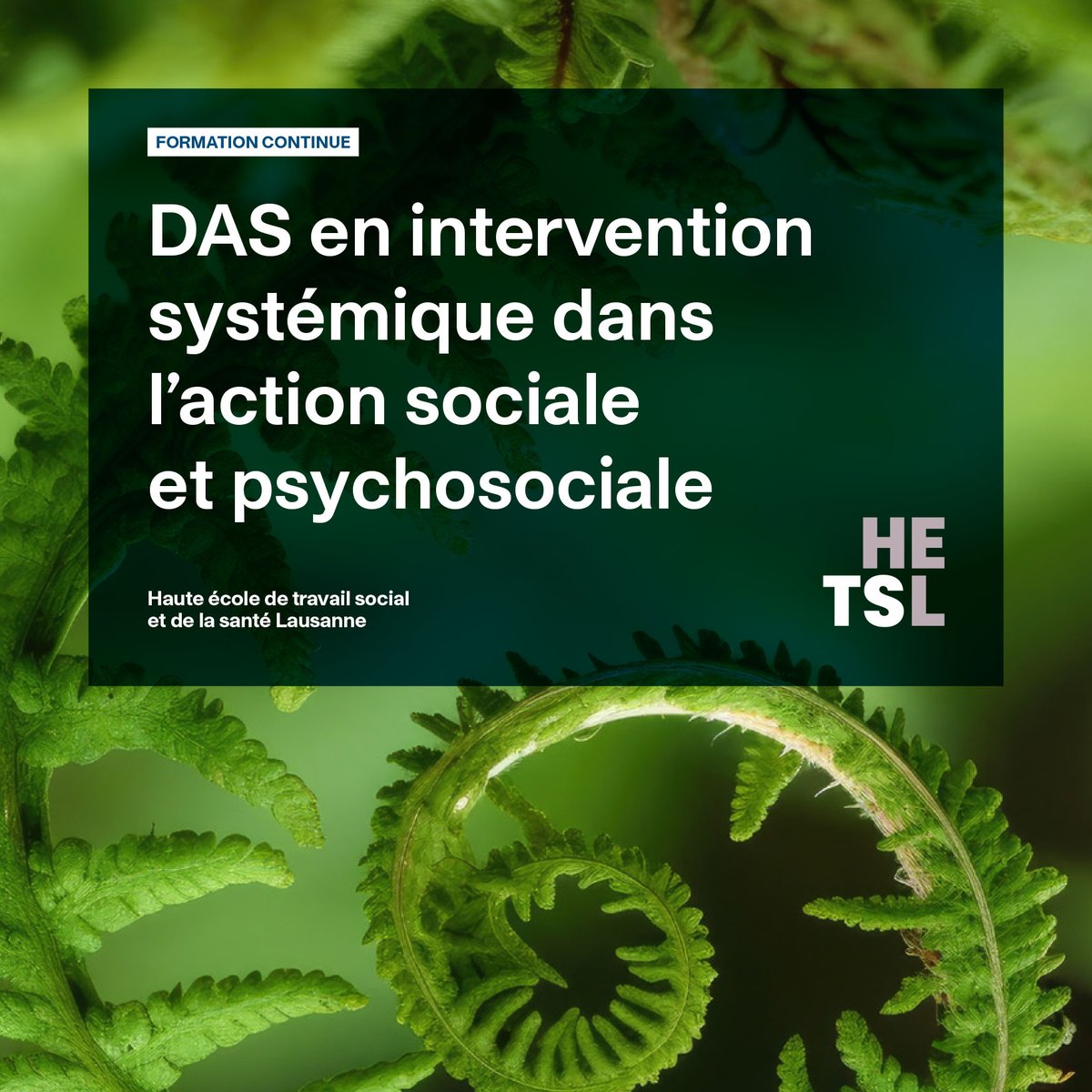 Découvrez notre #formation DAS en intervention systémique dans l'action sociale et psychosociale qui vous permettra d’assumer un positionnement pertinent dans des situations complexes dans le contexte du travail social ! Inscrivez-vous jusqu'au 24 mai.
hetsl.ch/formation-cont…
