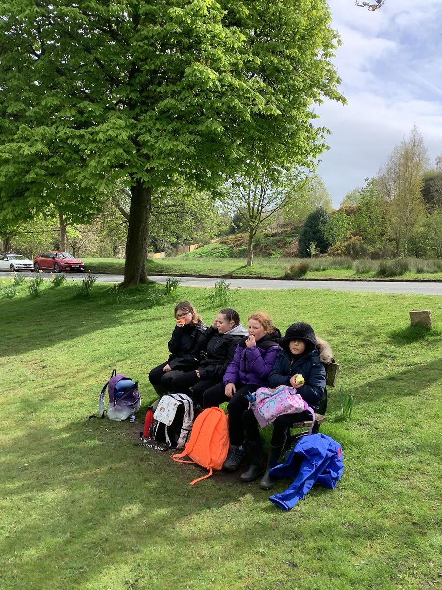 Low Ash Primary tweet media