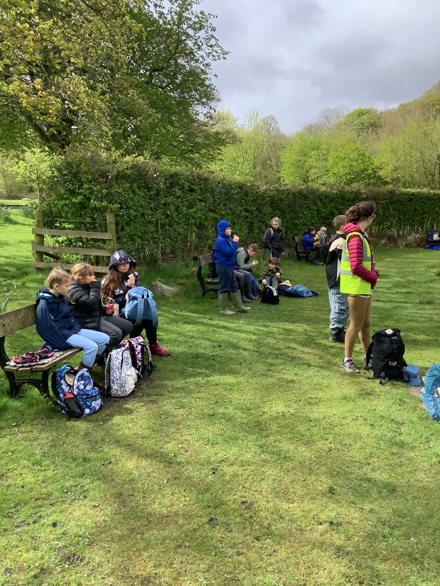 Low Ash Primary tweet media