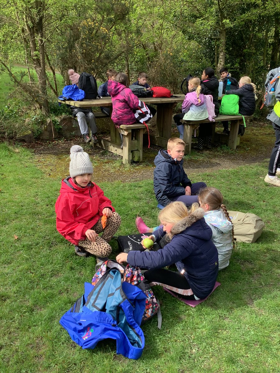 Low Ash Primary tweet media