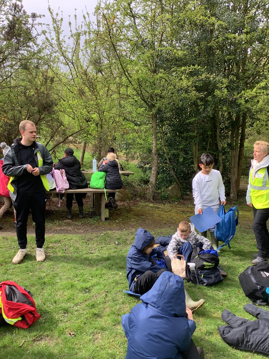 Low Ash Primary tweet media