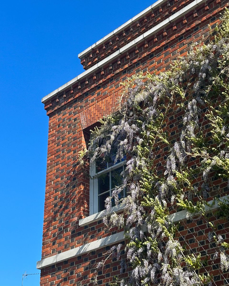 UniOfBuckingham's tweet image. Some photos from April 📸 More blue skies and sunshine in May please 🙏