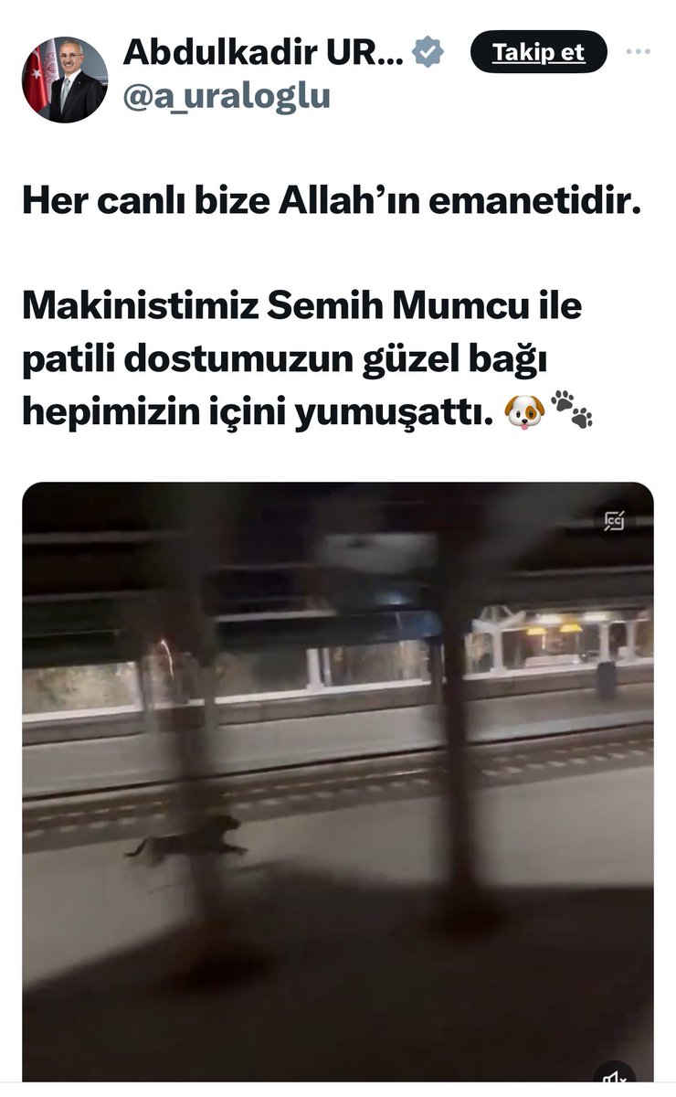 Başıboş köpek güzellemesi için dini dayanaklar uyduruluyor. Sn. Ulaştırma Bakanı da bu modaya uymuş ve “Her canlı bize Allah’ın emanetidir” demiş. Yok öyle bir şey! Madem öyle löp löp yediğiniz kuzular, piliçler canlı değil mi! Kesip yediğiniz hayvanlar Allah’ın size emaneti