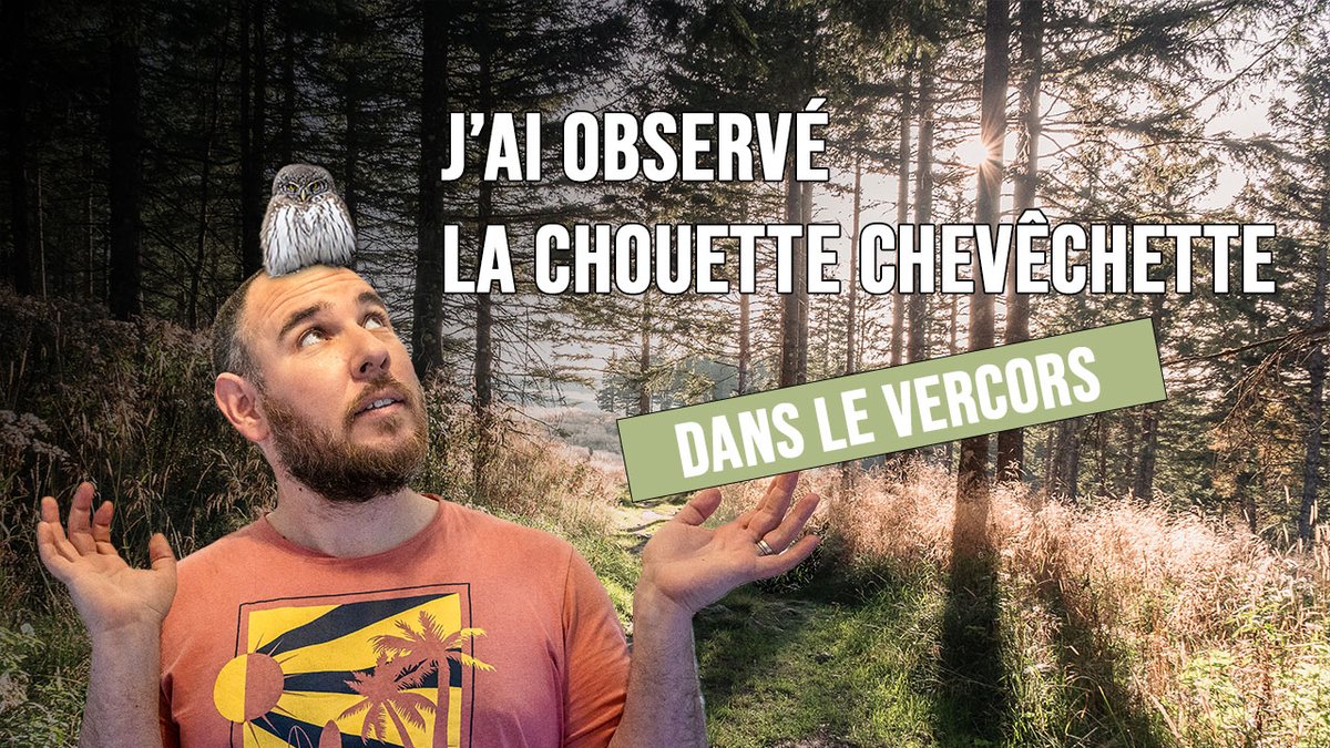 Partir à la rencontre de la #chouette chevêchette au cœur du #vercors drômois... 🦉

Une journée magique aux côtés du talentueux Luca Melcarne résumée en une petite vidéo de 6 min de pur bonheur... 💚

La vidéo par ici ➡️ bit.ly/49ZvZr8