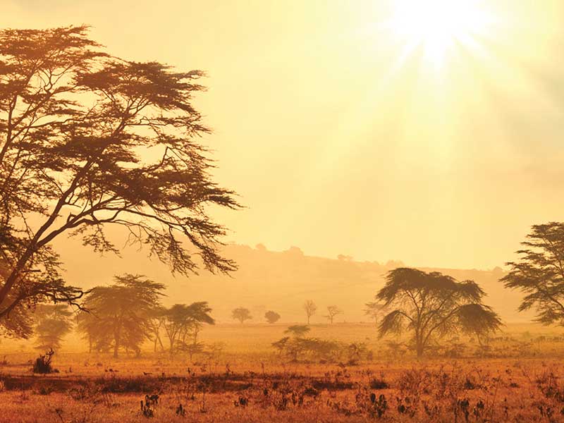 Climate Facts: Extreme heat increases chances of stillbirth, says UN | TheCable thecable.ng/climate-facts-…