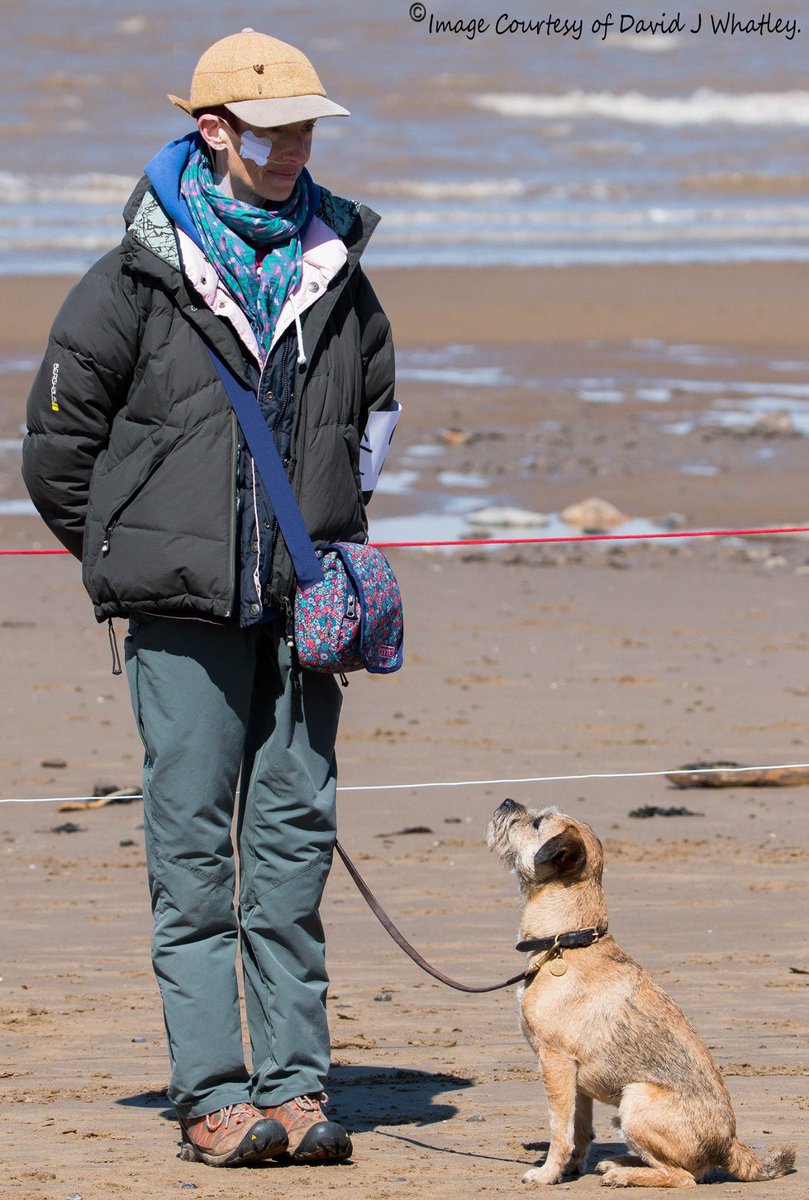 #Jackaday from this day 2016 … at Burnham on Sea Dog Festival … bless his sweet paws! In the grip of an #eatingdisorder that had narrated my life for 30 decades alongside #BPD (borderline personality disorder). Four years later received #dissociativeidentitydisorder diagnosis…