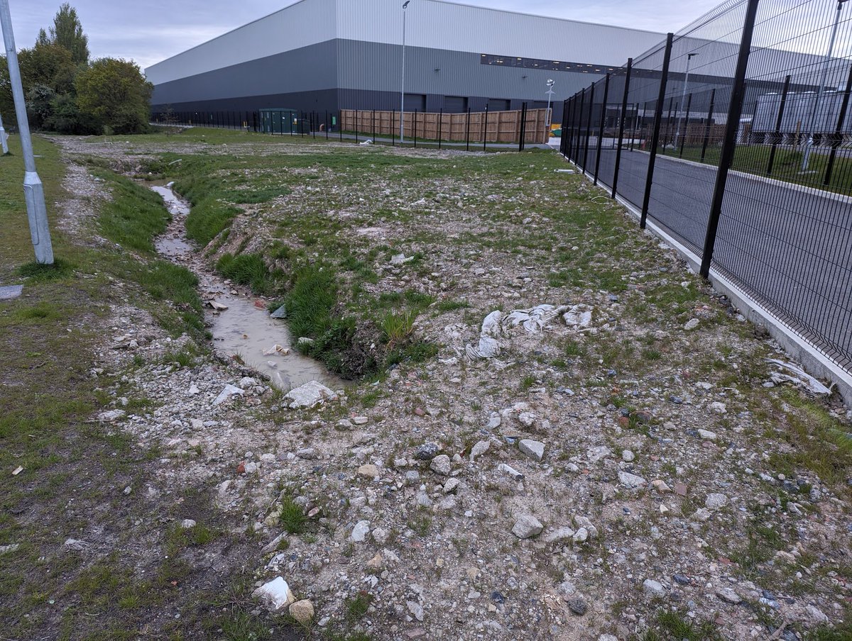 OK, so, according to the developer this is part of a habitat creation area in Farington that supposedly compensate for a loss of a large well developed grassland lost to that massive speculative warehouse in the background. No topsoil, no subsoil, just rubbish. @southribblebc