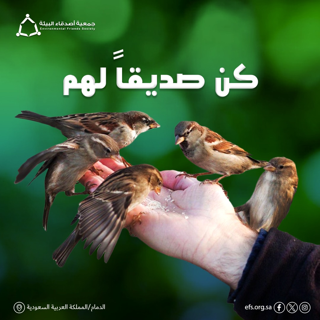 'الطيور ليست فقط جزءًا من جمال الطبيعة، بل هي أيضًا مؤشر حيوي على صحة البيئة. تقدم أماكن المغذيات للطيور مساحة آمنة للغذاء والمياه في عالم يواجه تحديات بيئية كبيرة.
عندما نقوم بتوفير بيئة ملائمة للطيور،نساهم في المحافظة على التنوع البيولوجي
'الطيور ليست فقط جزءً من  النظام البيئة