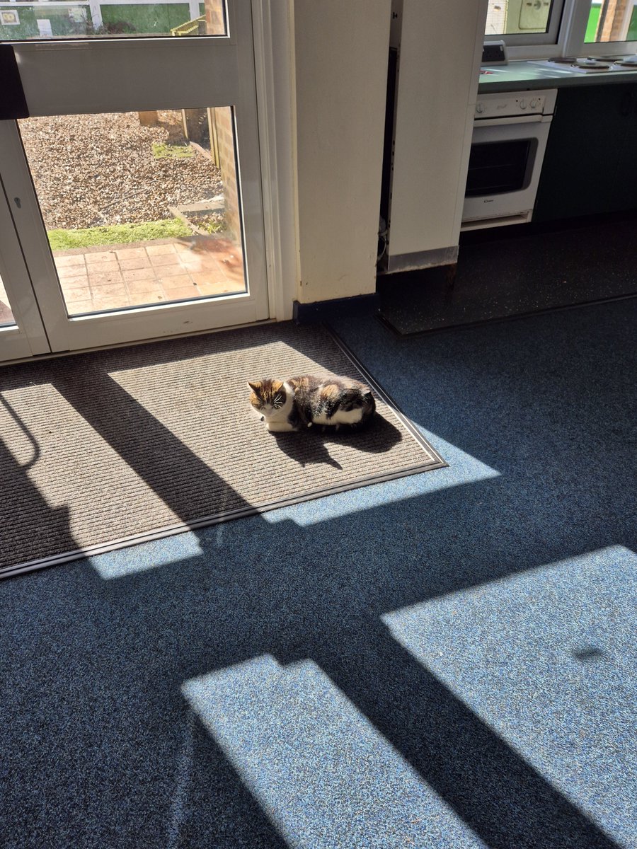 Aloysius O'Hare in memory of Angel Cilla 🌈 tweet media