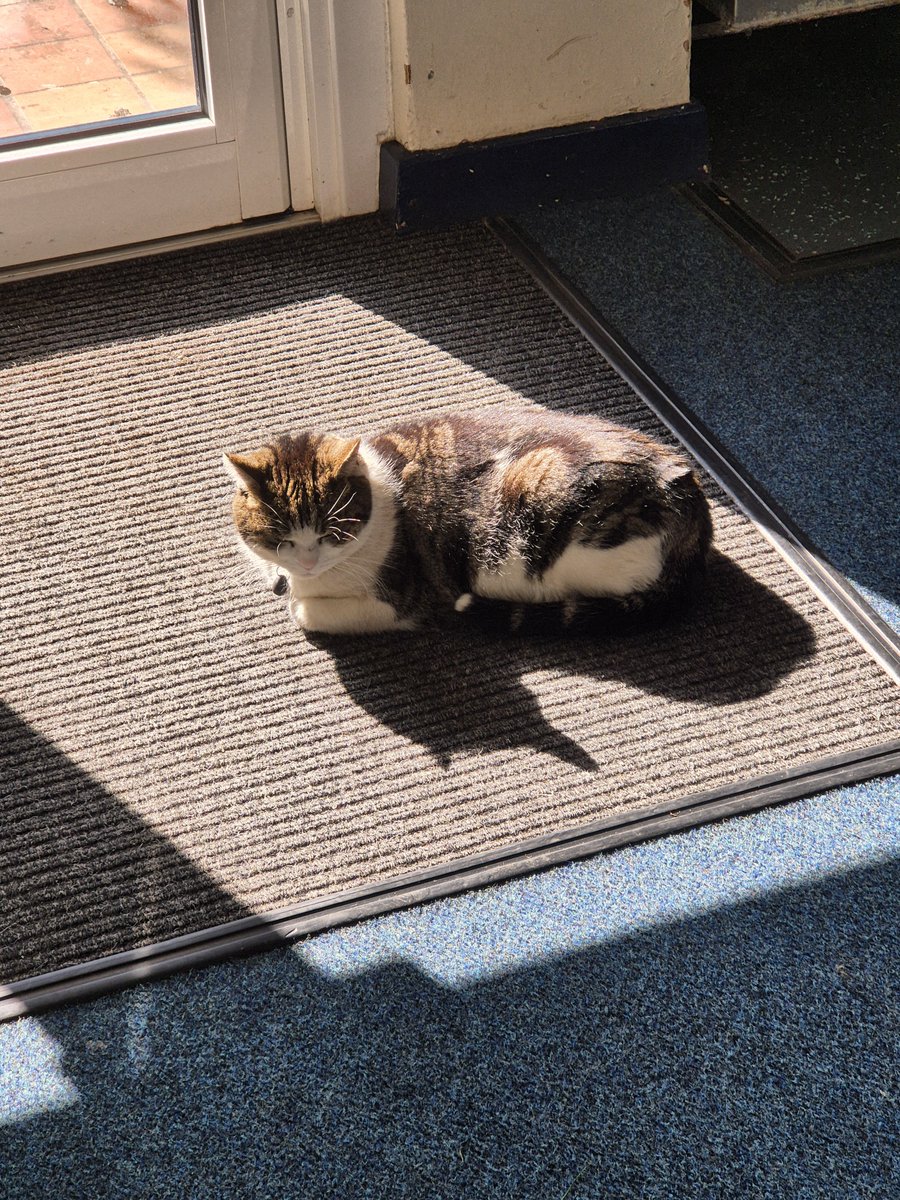 Aloysius O'Hare in memory of Angel Cilla 🌈 tweet media