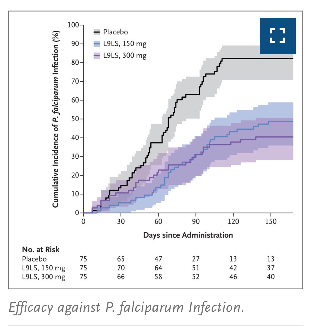 Ensayo clínico F2 @NEJM en Malí🇲🇱con #AcMonoclonal #L9LS sc en PREVENCIÓN +6meses para #MALARIA P falciparum🩸🦟en NIÑOS👧🏾👦🏾. RESULTADO:70% éxito 🆚Placebo Importante noticia!🎉ya q en África mueren casi 600.000 niños/año por Malaria🌍⚰️😢 🔗👉🏻nejm.org/doi/full/10.10…