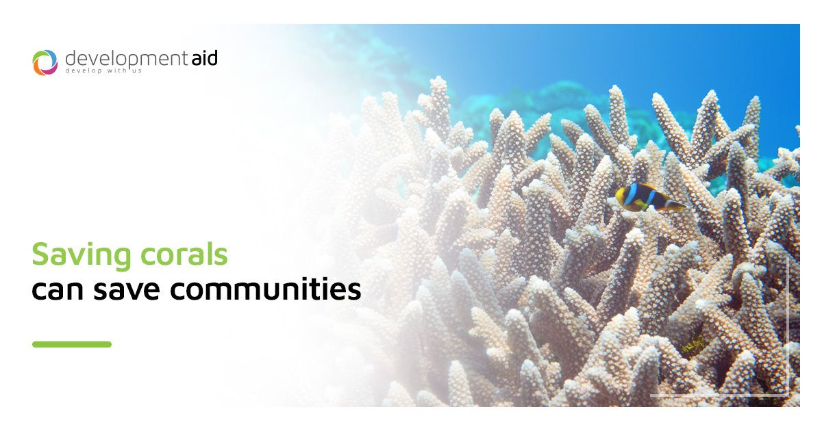 Coral reefs sustain millions in the tropics, yet face threats like pollution, overfishing, and climate change. developmentaid.org/link/cKrhS 

#CoralReefs #ClimateChange #OceanProtection