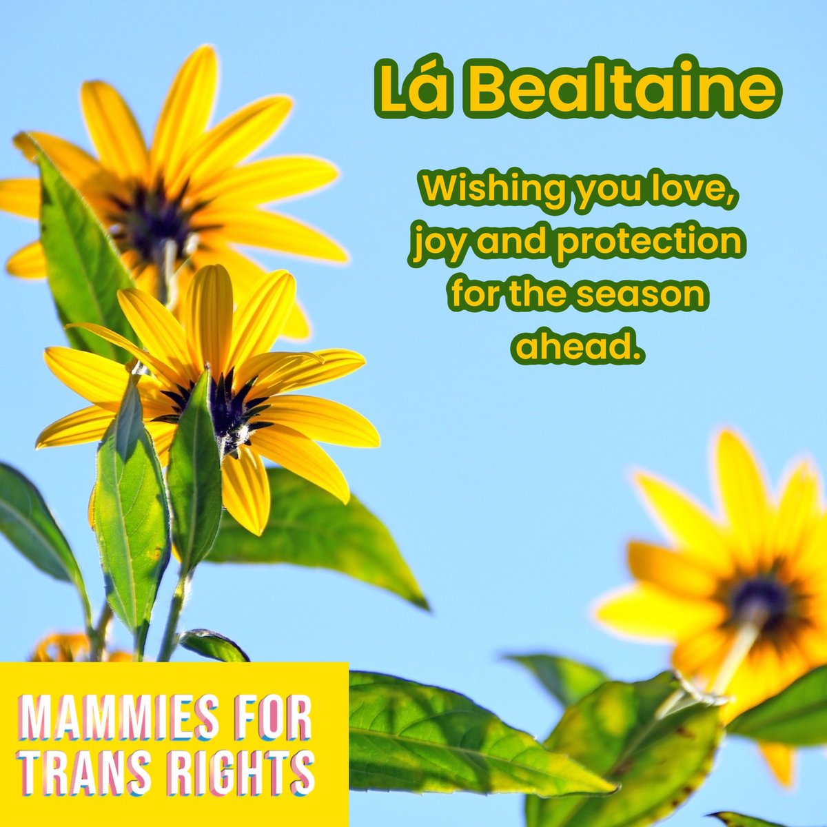 Wishing you love, joy and protection for the season ahead. 

#LáBealtaine #Beltane #LoveWins #TransJoy