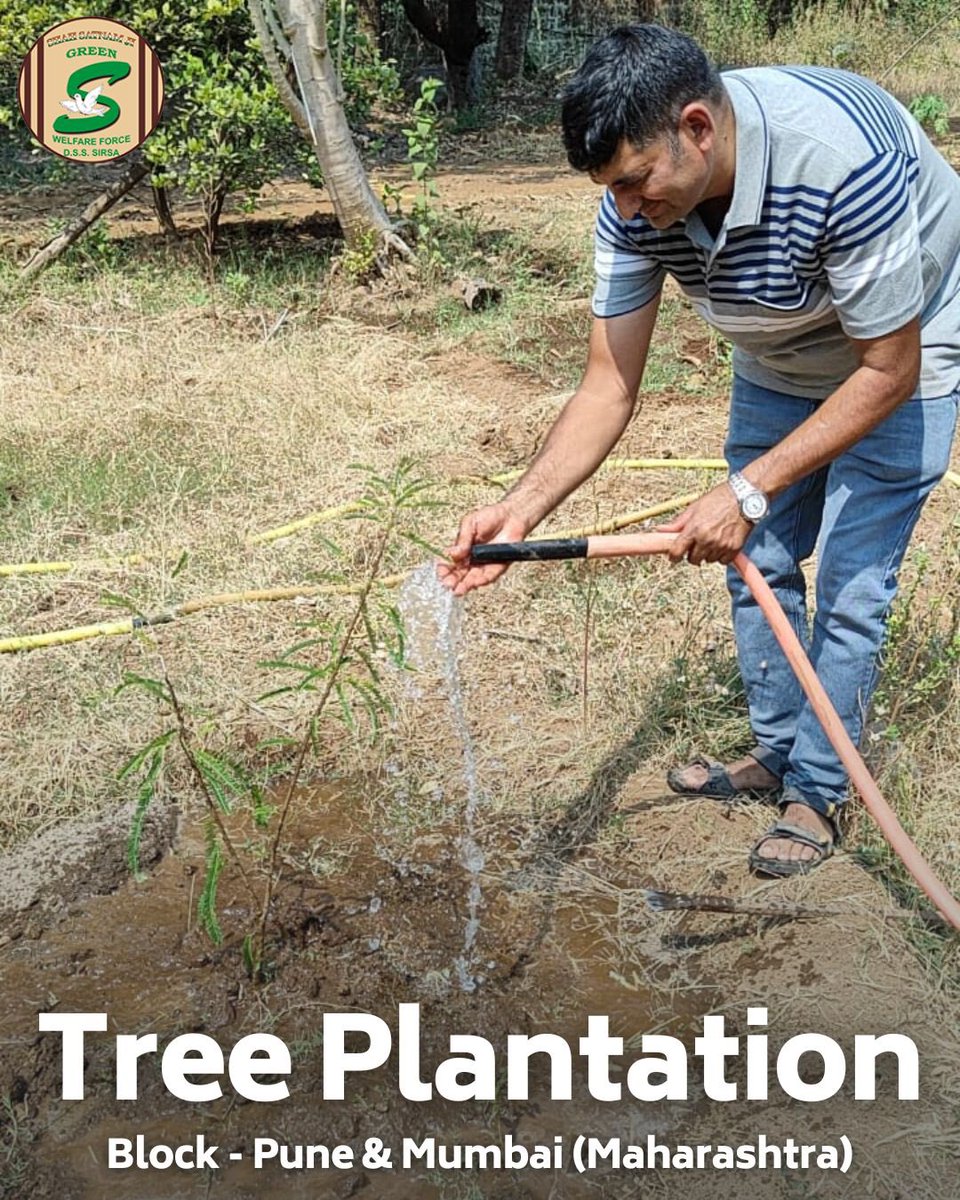 Check out these amazing moments from the tree plantation drive by Shah Satnam Ji Green 'S' Welfare Force Wing volunteers in Pune & Mumbai, Maharashtra. A step towards a greener environment indeed! 🌿 #GreenSWelfare #TreePlantation #EcoFriendly #DeraSachaSauda