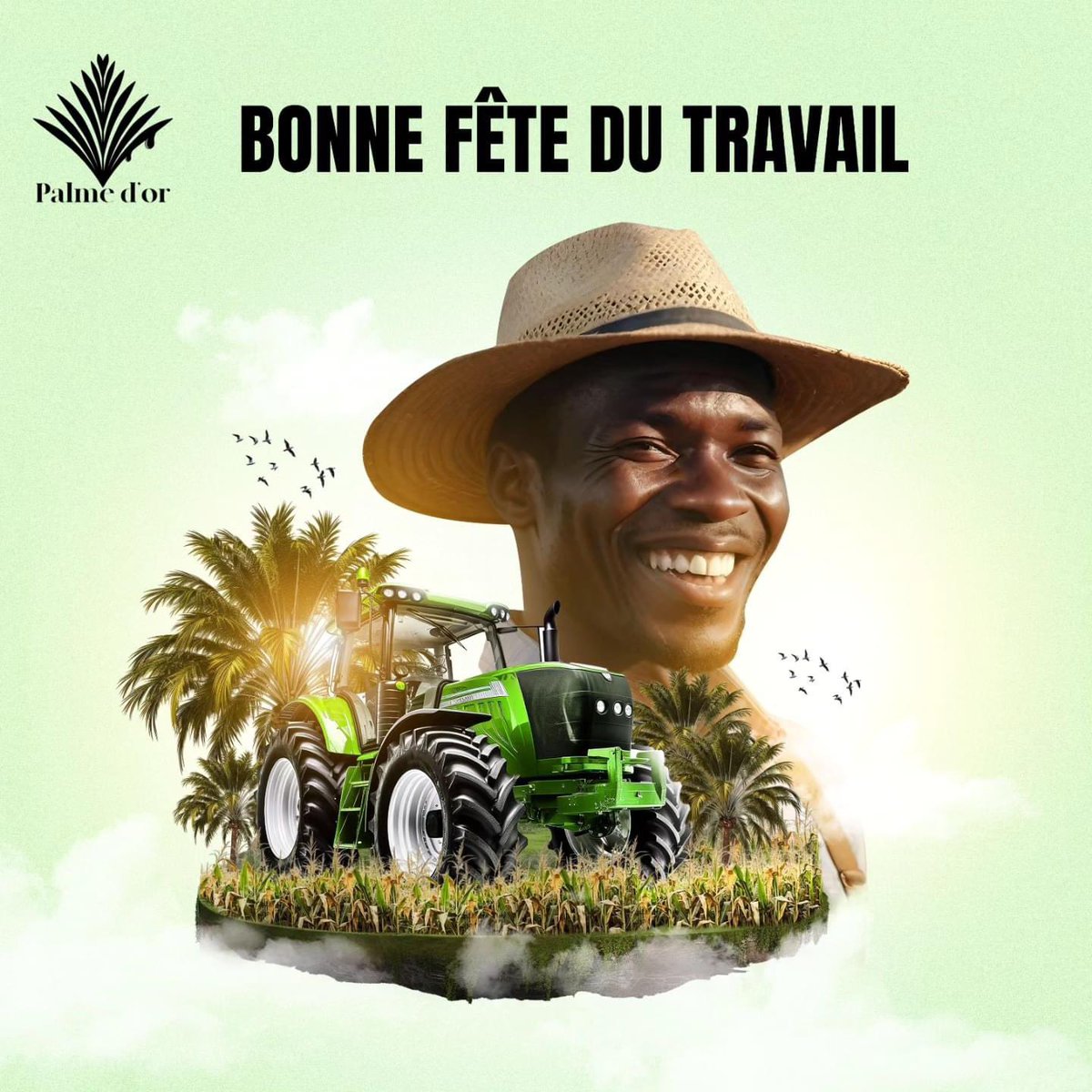 bonne fête du travail 💪🏾🌴

#centrafrique #PalmeDor #palmoil #FeteDuTravail