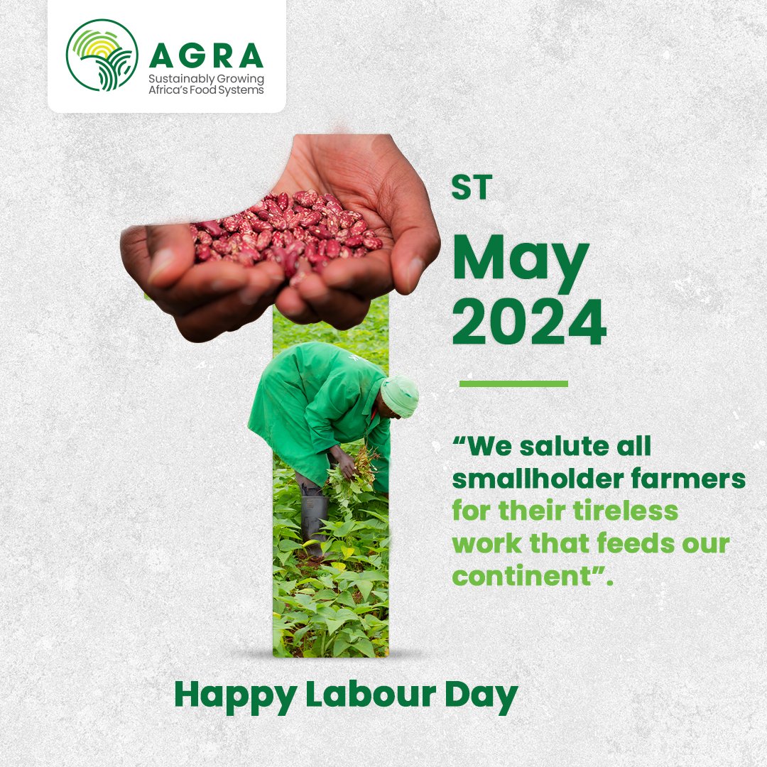 Food Systems | #HappyLabourDay At AGRA, we're proud to celebrate the unsung heroes who cultivate our land with passion and resilience. This is a tribute to their tireless efforts in fostering sustainable farming practices and promoting regenerative agriculture. Let's join hands…
