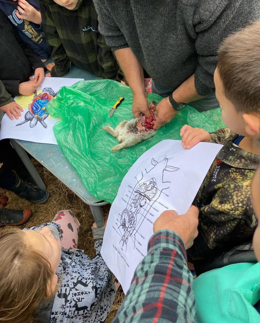 DWithington tweet media